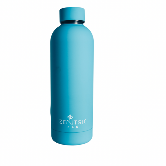Insulated Water Bottle Blue